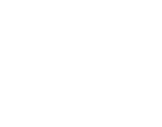 Mir Group Logo