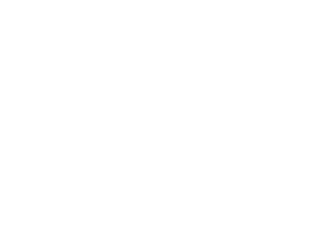 Reel Star Logo